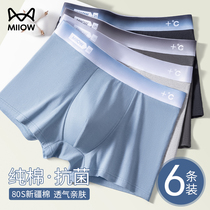 Cat mans underwear boy pure cotton 100% full cotton crotch four-corner short pants slit sport breathable flat corner pants head men s