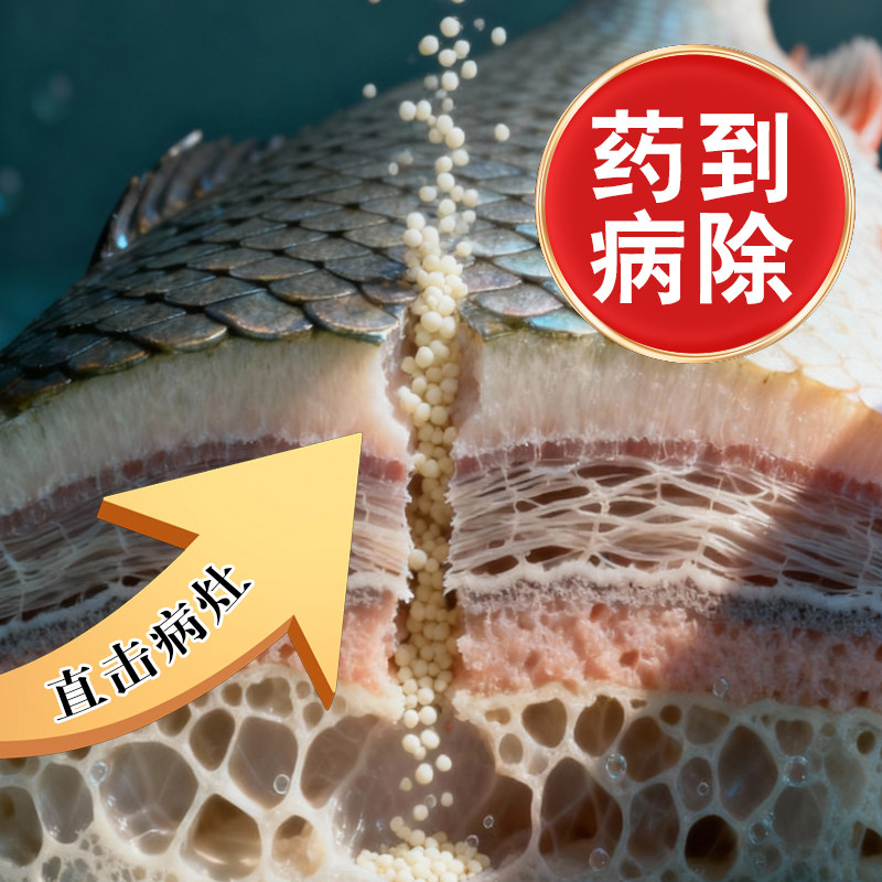 水霉病专治鱼药鱼龟烂身烂尾白毛腐皮硫醚沙星水产养殖水霉专治药,淘宝优惠券,粉丝福利购,淘宝优惠卷