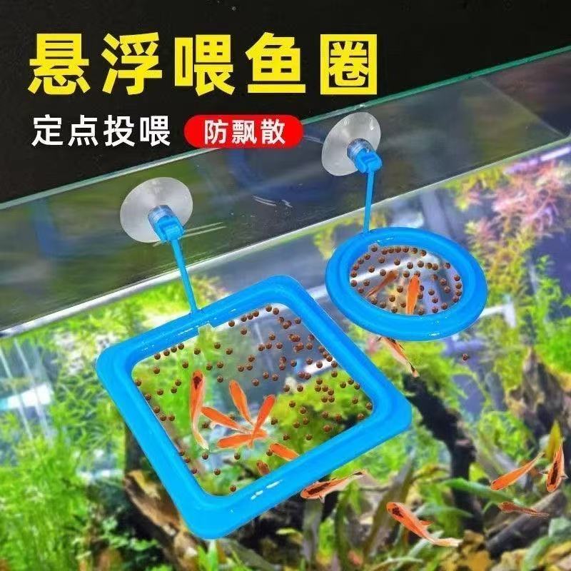 Fish tank feeding circle to prevent small shrimps from flying away