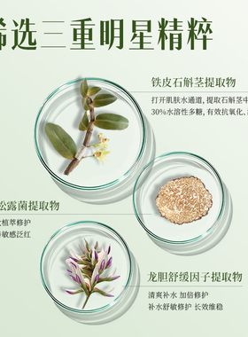 修本松桦舒缓健肤水滋润保湿