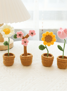 手工艺品diy自己盆栽花束制作