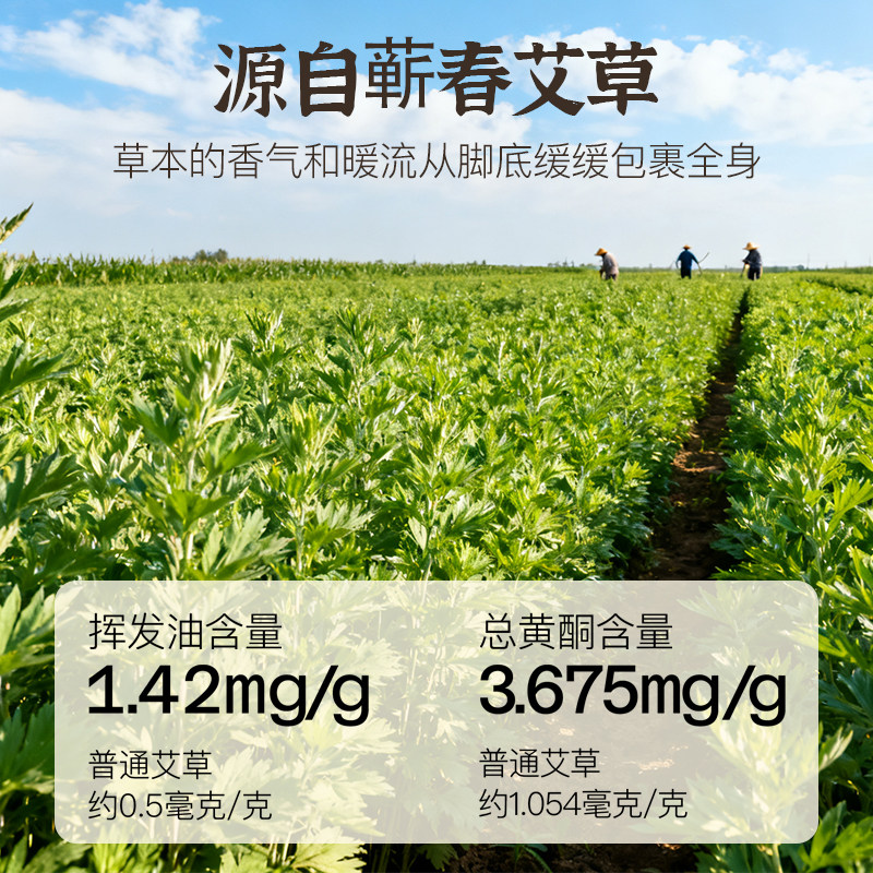 天蕲艾草二十五味中药泡脚包祛湿驱寒气生姜排汗助睡眠专用足浴包,淘宝优惠券,粉丝福利购,淘宝优惠卷