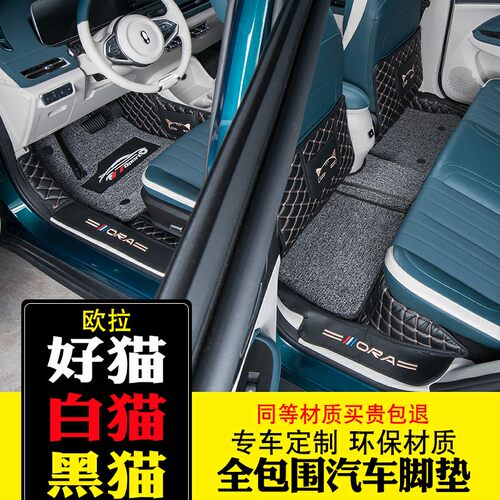 长城欧拉好猫脚垫黑猫R1白猫r2新能源汽车全包围丝圈脚垫改装专用 - 图0