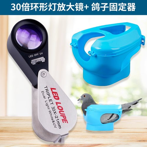 拜斯特鸽子眼专用放大镜拍眼底镜高清30倍带灯工具看拍照信鸽 - 图0