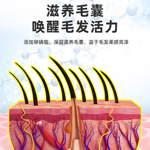 SINGEN信元发育宝犬用卵磷脂鱼油营养膏狗狗美毛护肤专用补维生素 - 图1