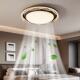 Lichang Italian minimalist leafless fan lamp is simple and elegant