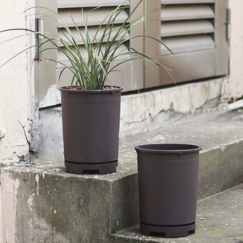 Цветочный горшок для домашнего использования, пластиковый дышащий корсет на тазовое кольцо, простой и элегантный дизайн, орхидея, увеличенная толщина