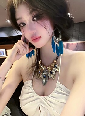 蓝色羽毛流苏耳环中古孔雀钻项链