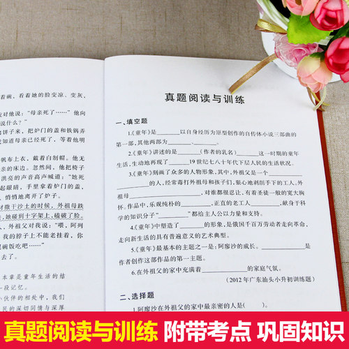 童年高尔基正版 童年书 快乐读书吧六年级必读课外书推荐 6年级上学期暑假阅读书目 人教版的故事乐读吧 同年书籍 暑期作业 - 图2