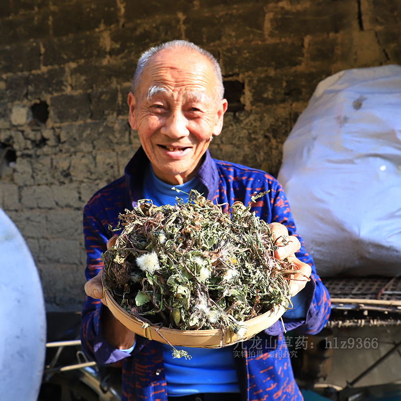 蒲公英干货500g农家深山新鲜无硫蒲公英根茶药材花草茶婆婆丁新货