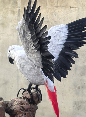 仿真鹦鹉羽毛手工摆件拍摄装饰