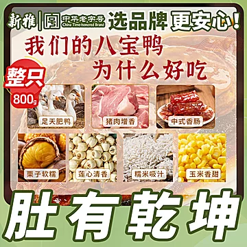 新雅八宝鸭上海特产卤味熟食800g[5元优惠券]-寻折猪