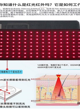 红光红外线理疗垫震动光疗仪腰带