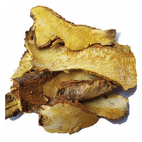 虎杖中药材大虫杖苦杖斑杖 广西深山虎杖根片鸟不踏斑根酸榴根粉 - 图3