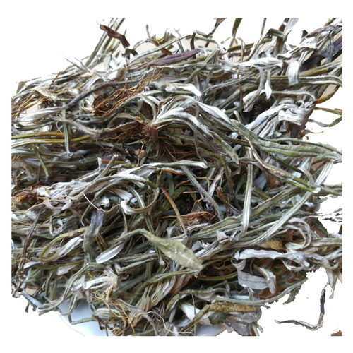 天青地白中草药材小火草金鸡舌新鲜叶下白干货上青下白细叶鼠曲草 - 图3