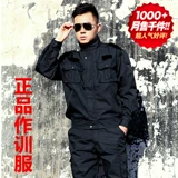 Осенняя куртка для тренировок, зимний комбинезон подходит для мужчин и женщин