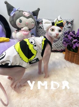 YMDR Hairless Cat Clothes German Cat Clothes Orphans Broken Code Welfare Special Offer Weixia Clearance Special Shot