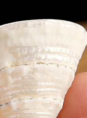 天然宝塔藏式白海螺小号供佛