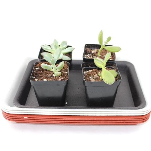 Пластиковый прямоугольный цветочный горшок, большие шасси, увеличенная толщина