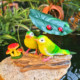 Creative simulation bird and magpie ornaments