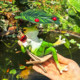 Creative lounge chair frog courtyard garden balcony ornaments