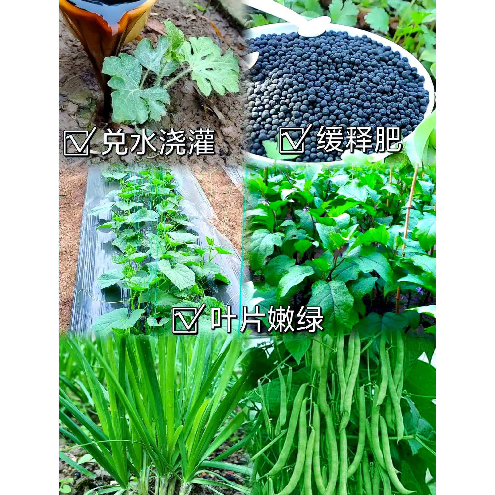 瓜果蔬菜专用肥料有机肥复合肥花卉绿植盆栽,淘宝优惠券,粉丝福利购,淘宝优惠卷