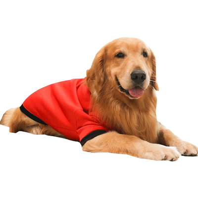 大狗狗衣服春秋薄款金毛萨摩耶拉布拉多柴犬中型犬大型犬宠物春装 虎窝淘