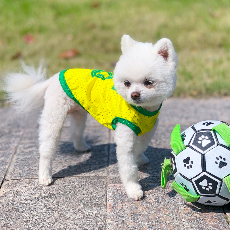 狗狗衣服夏季薄款世界杯球衣泰迪比熊小型犬猫咪夏天透气宠物背心 - 图1