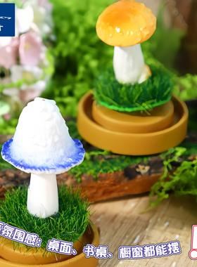 小蘑菇微观世界圆梦瓶漂流瓶生态瓶许愿瓶桌面苔藓小植物小摆件