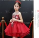 Trẻ em ăn mặc công chúa váy tutu cô gái catwalk váy sinh nhật chủ trang phục buổi tối trang phục piano mùa thu - Váy trẻ em