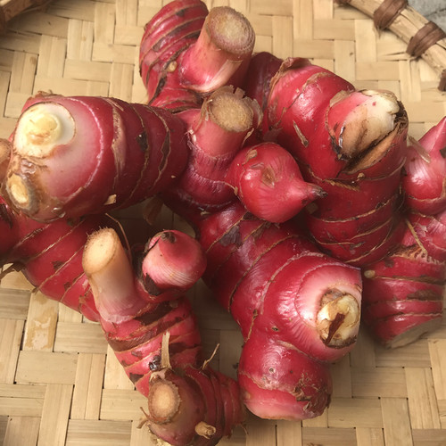 泰国冬阴功汤料galangal 新鲜山姜南姜高良姜500克 潮汕牛肉火锅 - 图0