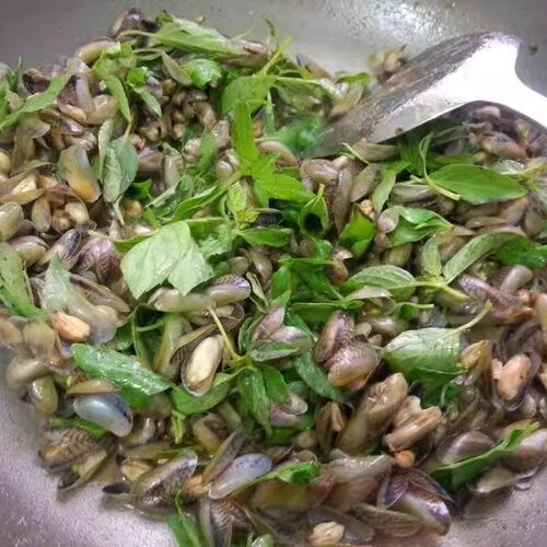 冬阴功汤料新鲜金不换新鲜罗勒叶九层塔basil 西餐香料 新鲜直发 - 图1