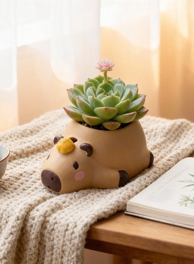 卡皮巴拉可爱陶瓷花盆装饰摆件