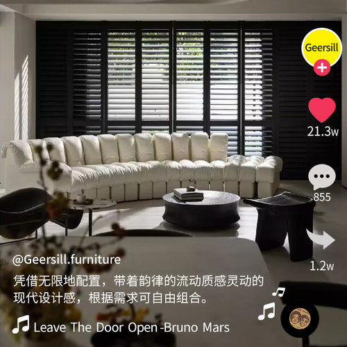 意式极简DS600弧S蛇形真皮沙发林四月同款黑色客厅中古模块大平层 - 图2