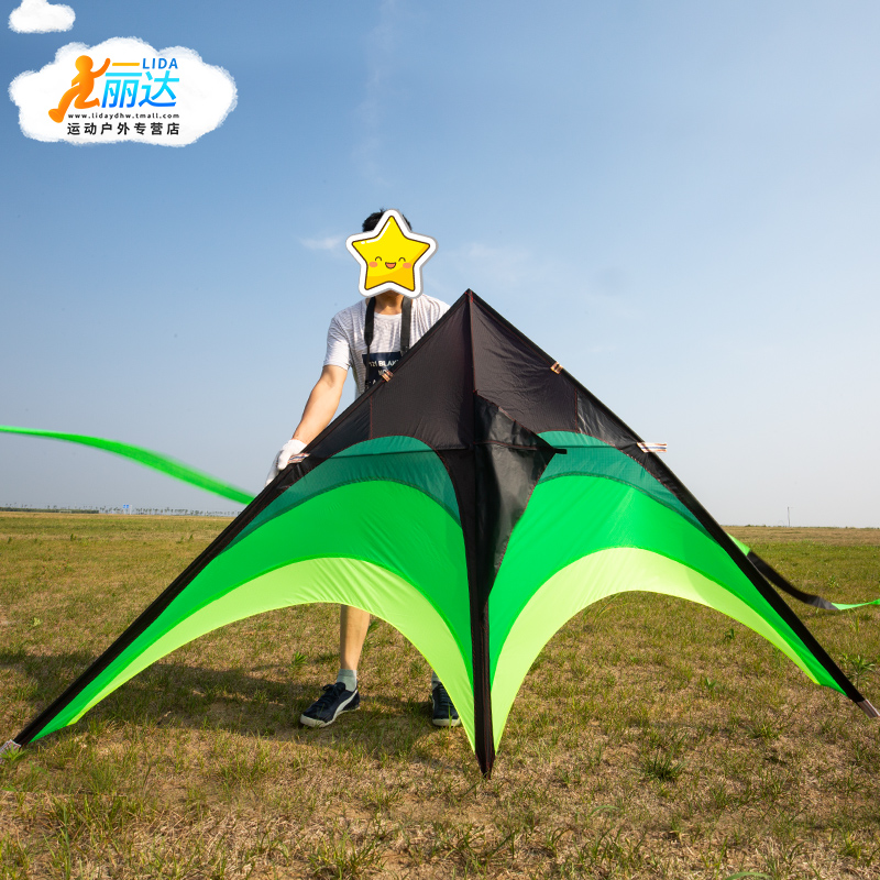 大草原风筝成人大型新款2022高档微风易飞三角树脂伞布专业风筝 - 图0