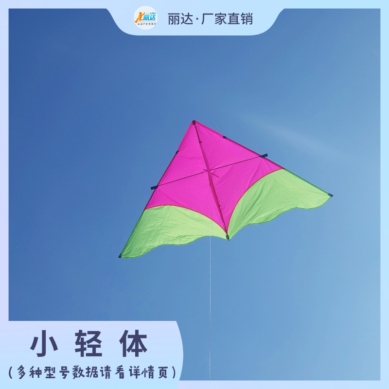 2024新款小轻体风筝伞布碳素杆三角风筝儿童成人微风好飞潍坊风筝 - 图0