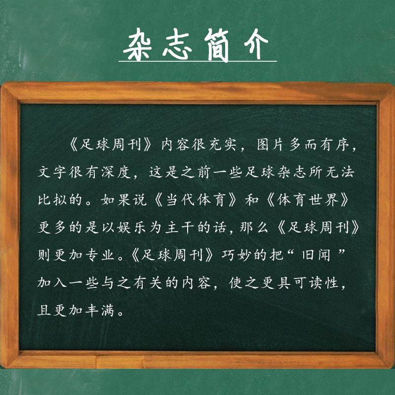 现货速发 足球周刊2024年5月总第891期 四连登天【体坛周报欧洲杯观战指南892期/荣耀利物浦/体坛周报 /国安荣耀/海报球星卡】 - 图3