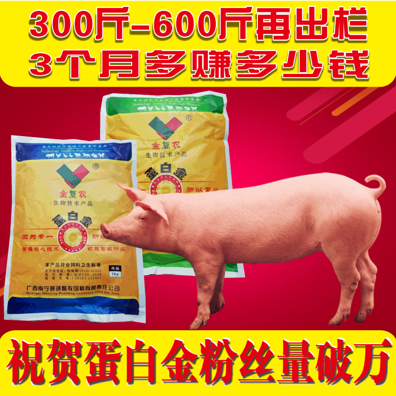 养猪饲料添加剂催长促长增重肉猪小猪大猪用育肥预混料促生长蛋白虎窝淘 