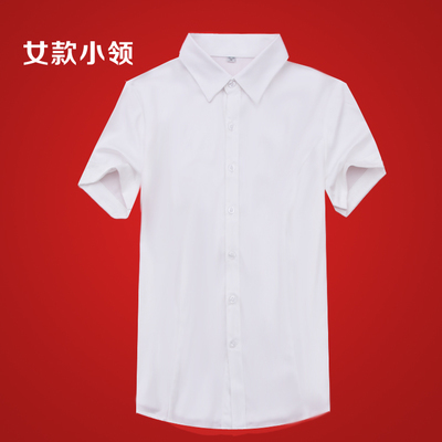 夏款结婚登记证件照情侣服装男女短袖棉质白衬衣领证拍照上衣衬衫