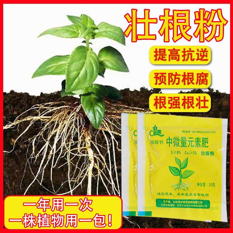 强力壮根肥植物通用型果树木移栽扦插壮苗剂绿植营养液养花卉肥料,淘宝优惠券,粉丝福利购,淘宝优惠卷