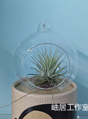 清仓特价悬挂玻璃球瓶空气凤梨吊瓶斗鱼挂瓶水培悬挂花瓶器皿