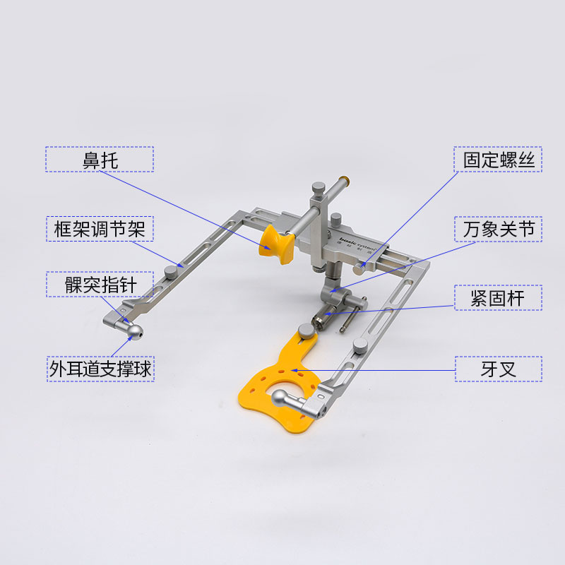 Basic系德标半可调式咬合架 面弓转移台全口义齿排 颌架套装 - 图2