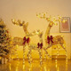Reno Navideño Decoración Resplandor Navideño