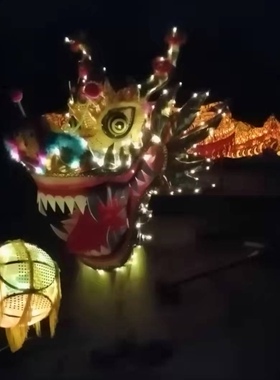 舞龙大号庙会铁丝元宵新款钢架龙头龙尾秧歌舞龙灯光民间舞龙社火