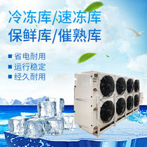 Refrigeration Depot Full Range Refrigeration Equipment Fruit And Vegetable Preservation Depot Meat Freezer Home Mobile Refrigeration Depot Custom Installation