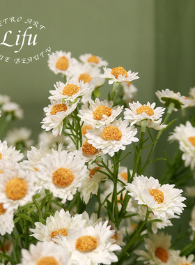 超逼真洋甘菊仿真花小雏菊餐桌花