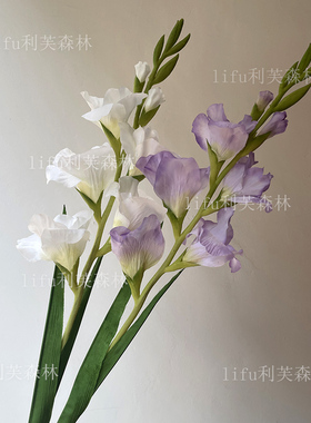 剑兰花仿真花高档装饰摆件