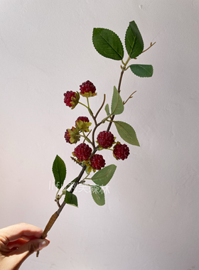 仿真植物树莓红色浆果桑葚果子假花 家居装饰摄影道具 婚庆布置
