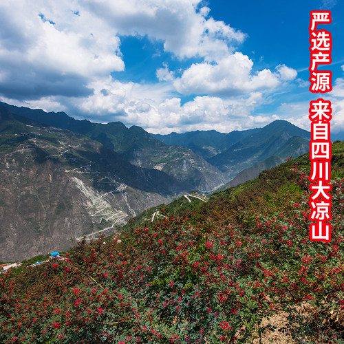 树上鲜花椒油400ml四川特产重庆麻椒油米线凉拌特麻藤椒油调味料 - 图2