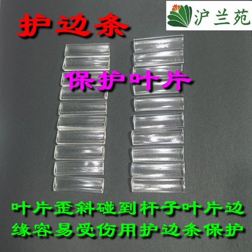 君子兰整形矫正线伸缩硬杆支撑不变形透明护边条保护不伤叶片挂钩 - 图0